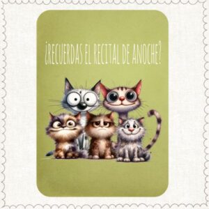 Transfer DTF Recital